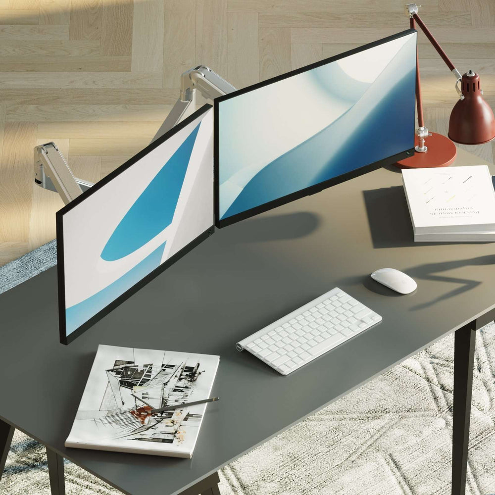 Alberenz® Doppel Monitorarm mit Gasfeder Silber
